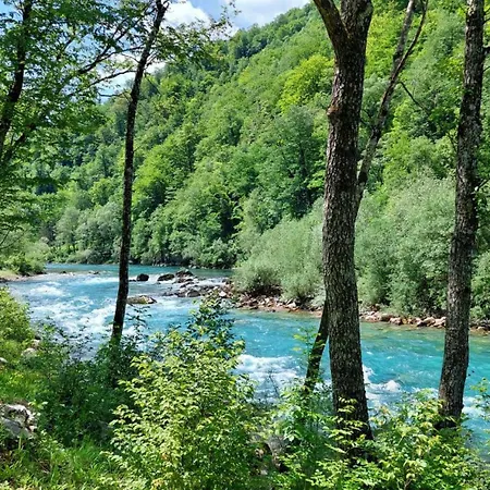 Rafting Kamp Hedera Kemp *