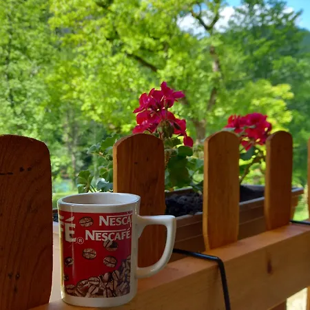 Rafting Kamp Hedera * Φότσα