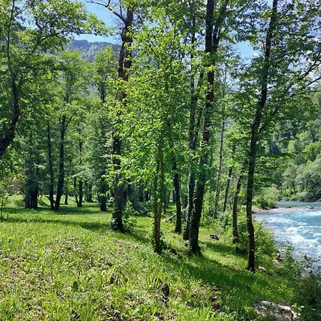 Rafting Kamp Hedera Kemp