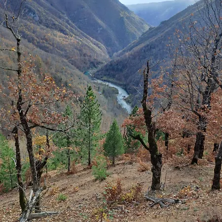 Tara Rafting Kamp Hedera Κάμπινγκ Φότσα