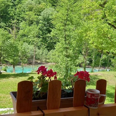 Κάμπινγκ Tara Rafting Kamp Hedera *